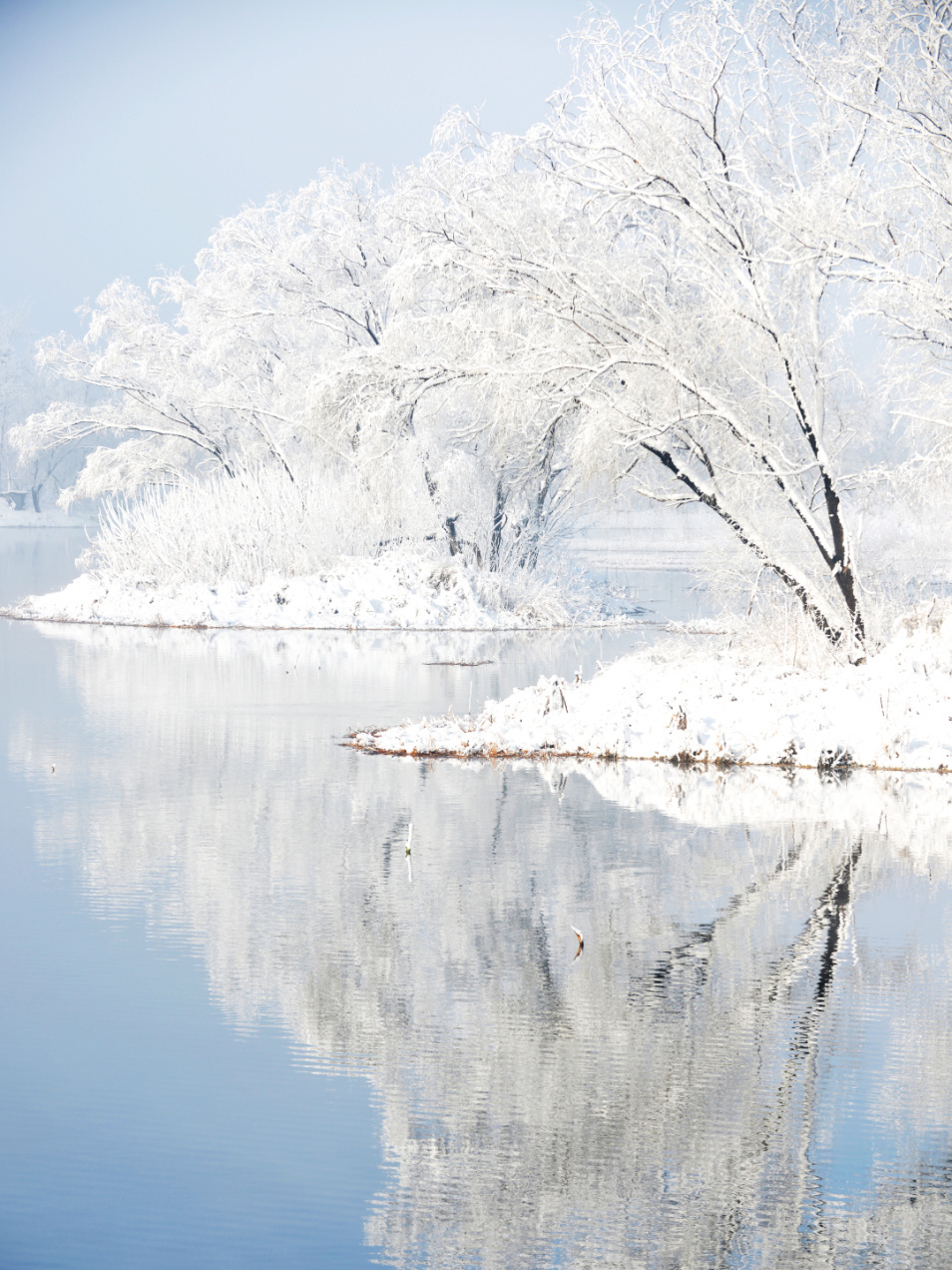 1672006831965688.png 1672006831965688.png